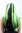 Party/Fancy Dress Lady WIG long fringe BLACK & GREEN strands streaks sexy Witch VAMPIRE Poison Ivy