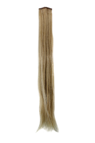 1 x Two Clip Clip-In extension strand straight long light ash blond streaked platinum s