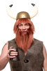 Party/Fancy Dress/Halloween black Wig & Beard Erik the Red Viking Barbarian Berzerker Stone Age Man