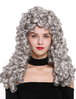 Quality wig women men baroque renaissance king nobleman long curls curly silver grey B17-2P-B-51