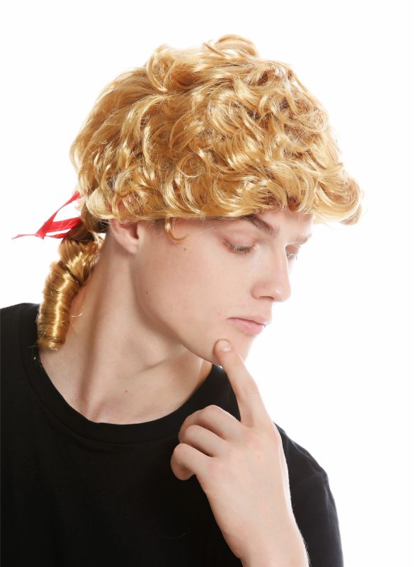 Wig Men Carnival Baroque Poet Wordsmith Casanova Nobleman Lord