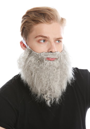 beard full beard grey carnival Halloween Hipster robber bandit Prophet Moses God 9537B-ZA68R