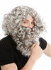 wig beard full-beard set grey hermit wild prophet Moses Noah wizard magician 8115-A+B-ZA68R