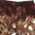 Clip-in Haarverlängerung Hinterkopf breit lockig Ombre Kupferbraun Dunkelblond CMT-863-30TT26