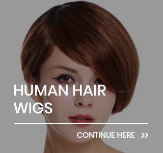 Human Hair Wigs