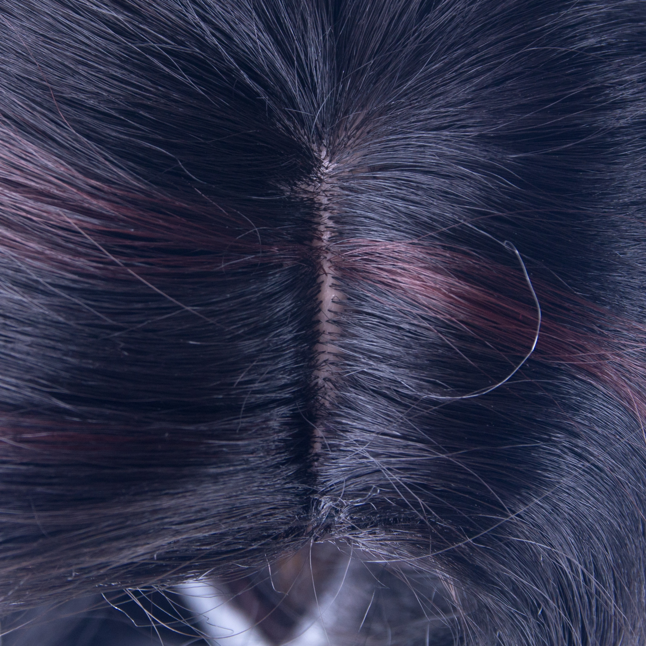 WIG-ME-UP-Kopfhautimitat_N127_web_