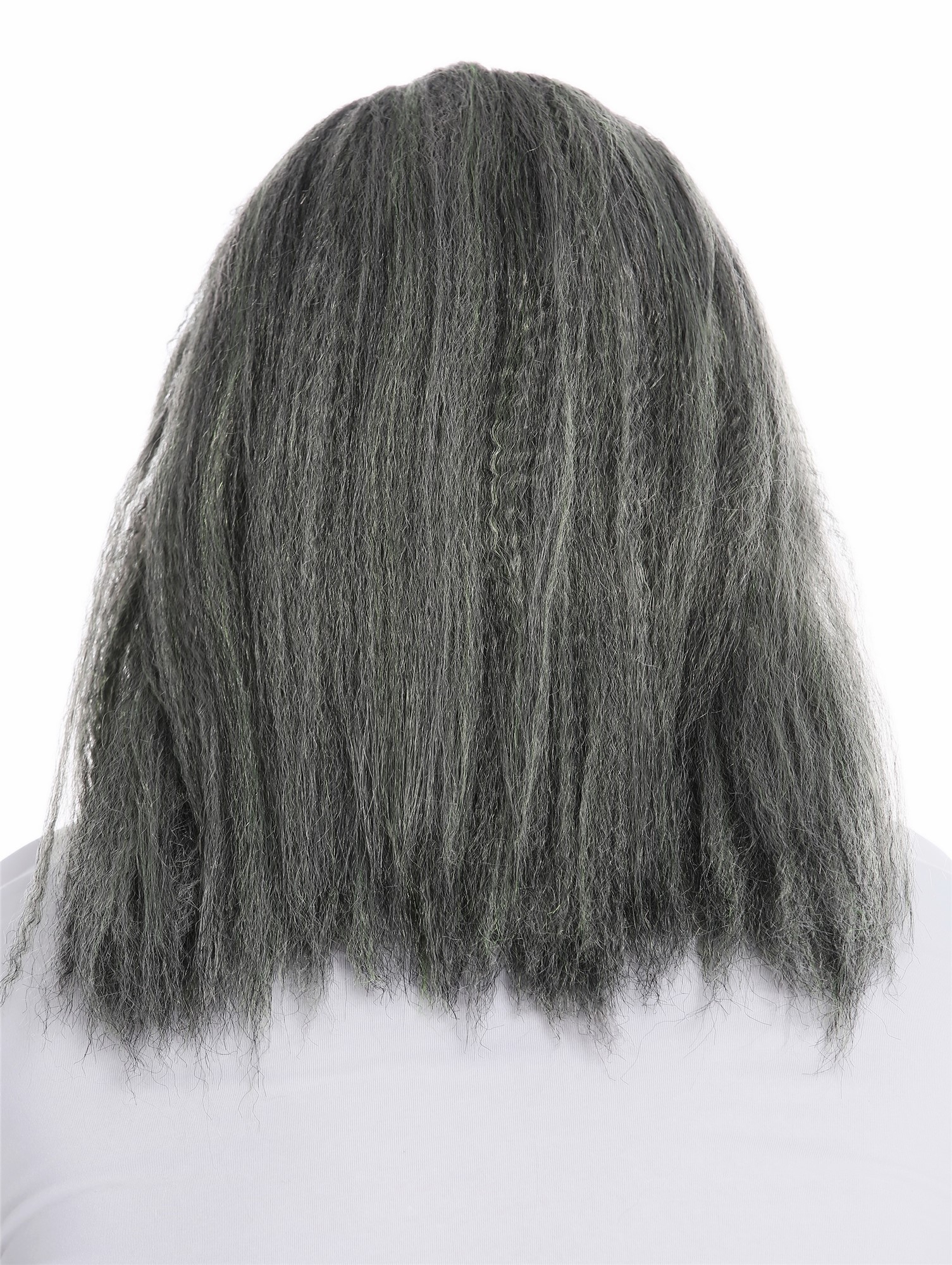 Party Wig, Men, Silver-gray wig with moss-green streaks, wavy, shoulder-length