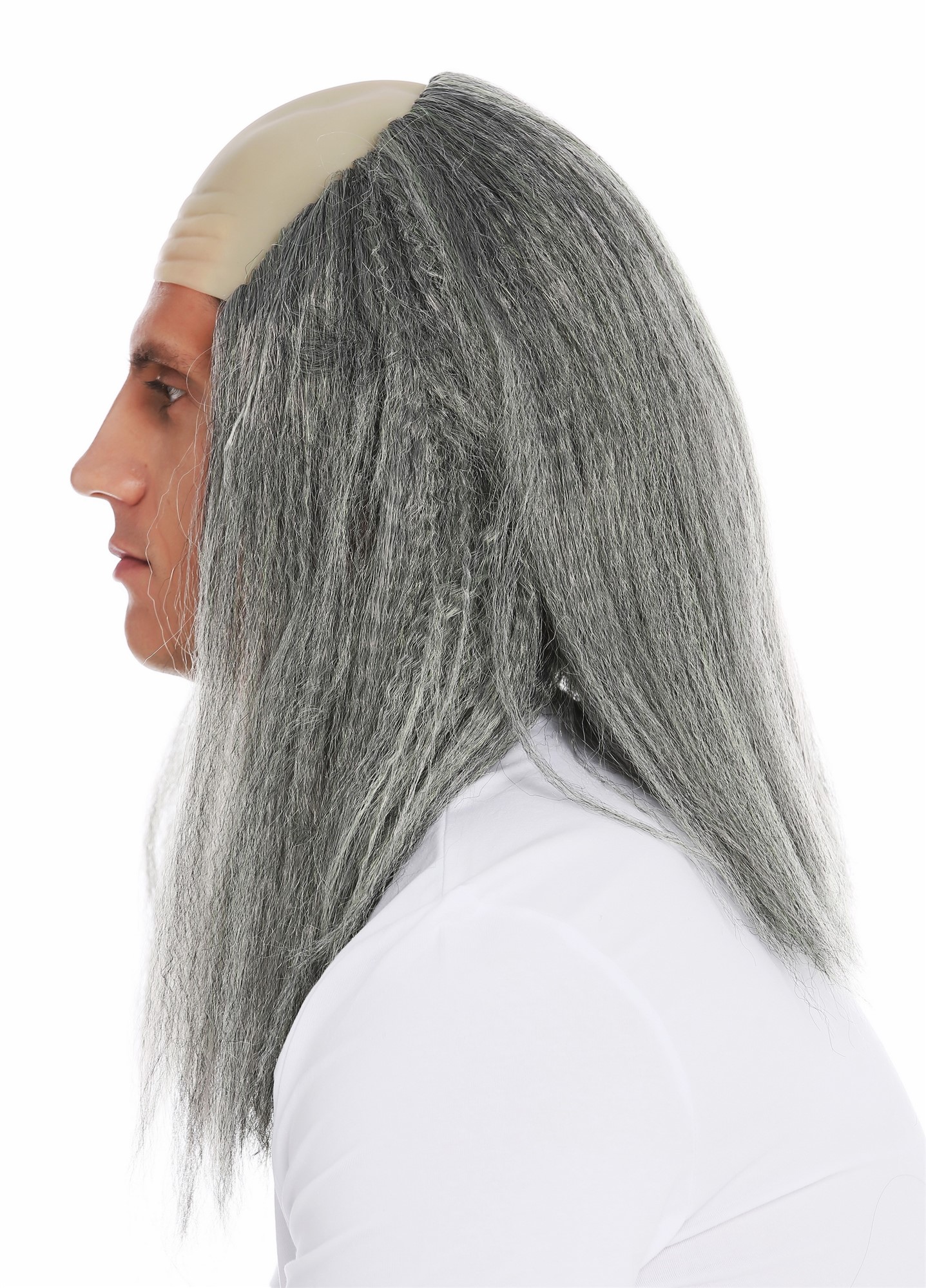 Party Wig, Men, Silver-gray wig with moss-green streaks, wavy, shoulder-length